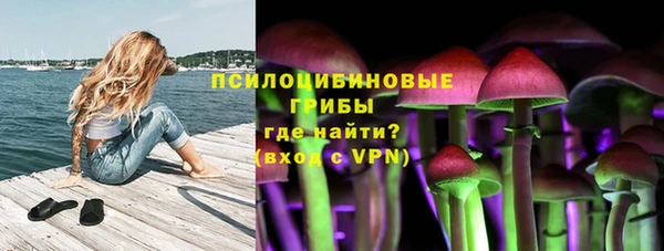 мяу мяу мука Лагань