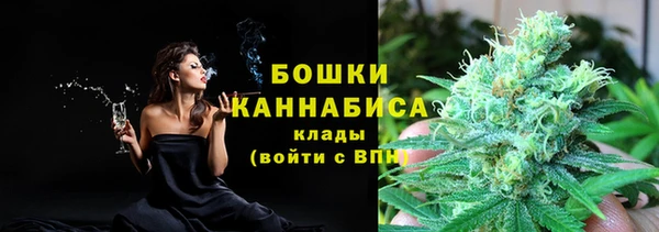 прущие грибы Лабытнанги