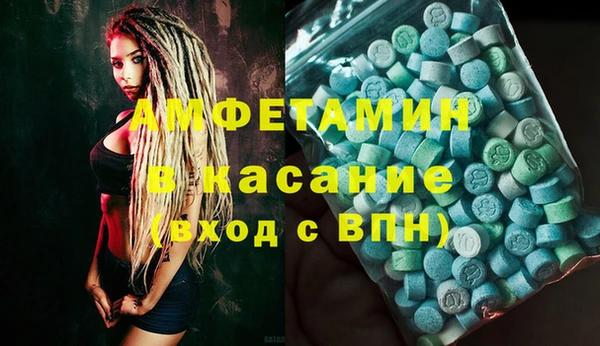 прущие грибы Лабытнанги