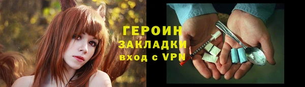 прущие грибы Лабытнанги