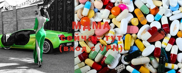прущие грибы Лабытнанги