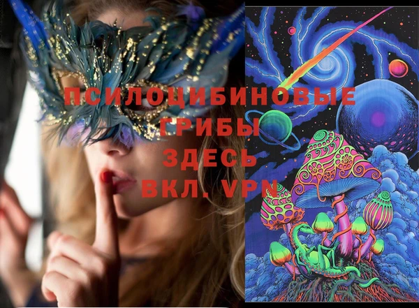прущие грибы Лабытнанги