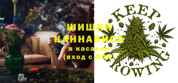 прущие грибы Лабытнанги