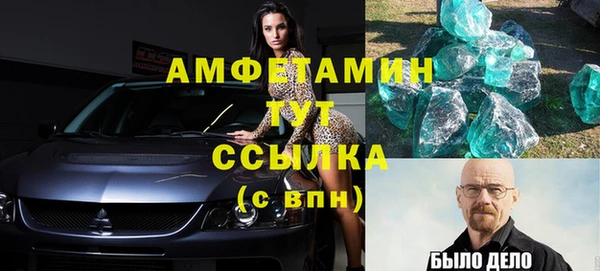прущие грибы Лабытнанги
