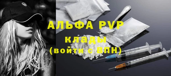 прущие грибы Лабытнанги