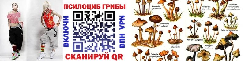 Галлюциногенные грибы GOLDEN TEACHER  Оренбург 